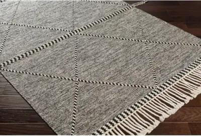 Zanafi 3' x 5' Rug