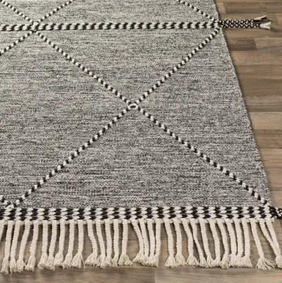 Zanafi 3' x 5' Rug