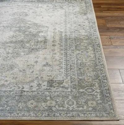 Lillian LLL-2307 5'3" x 7' Machine Woven Rug