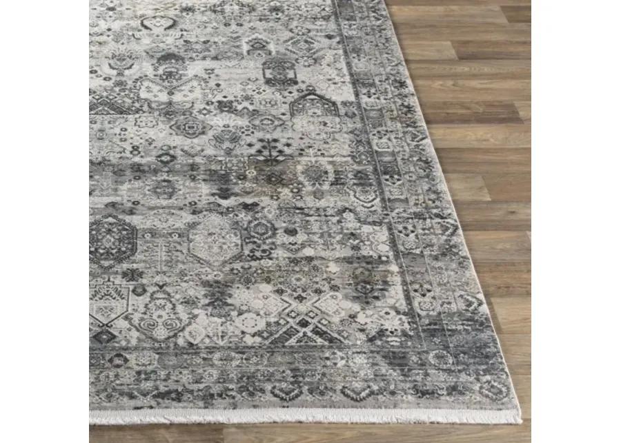 Solar SOR-2313 3' x 9'10" Rug