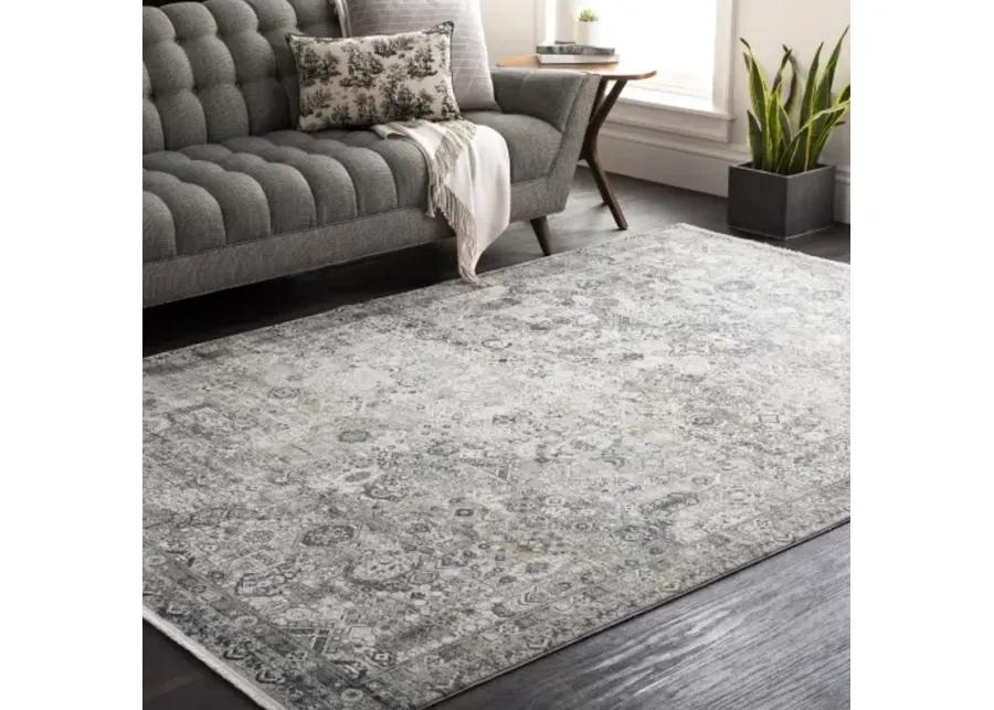 Solar SOR-2313 3' x 9'10" Rug