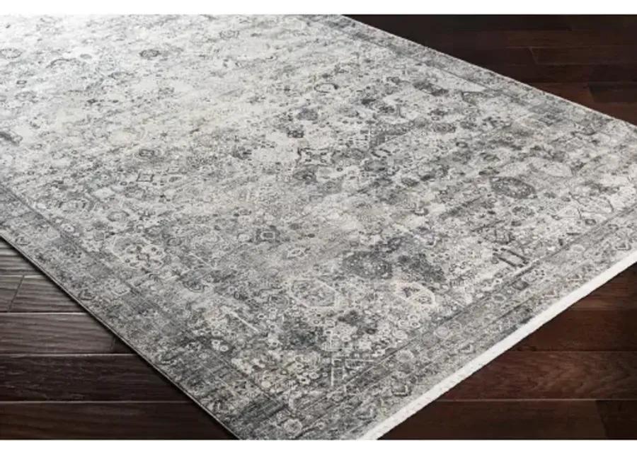 Solar SOR-2313 3' x 9'10" Rug