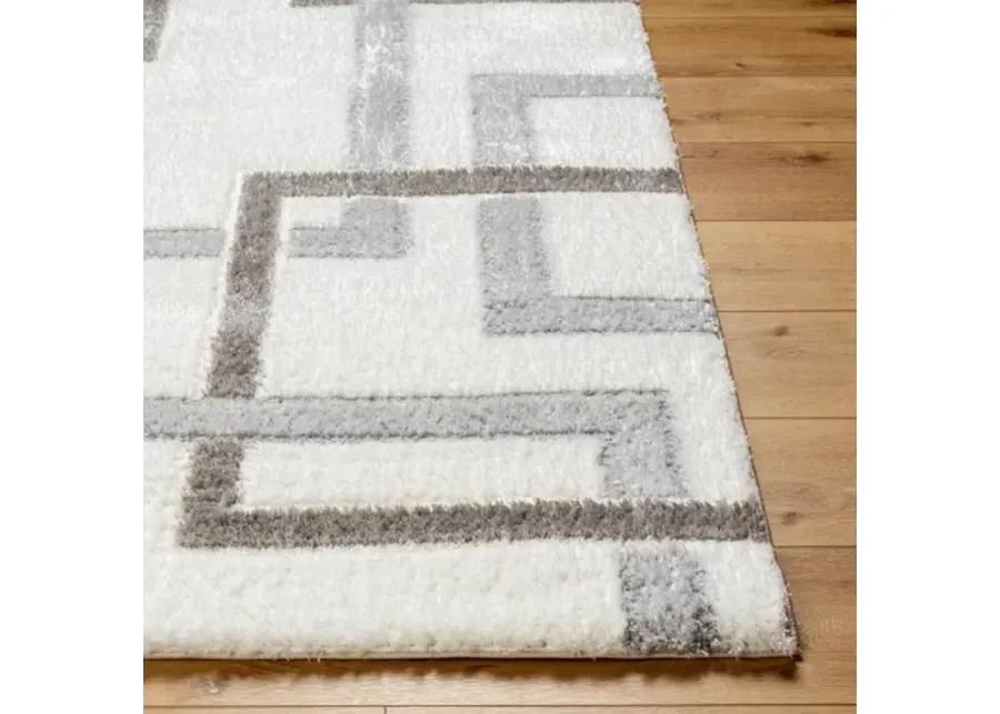 Nomadic NMC-2313 5'3" x 7' Machine Woven Rug