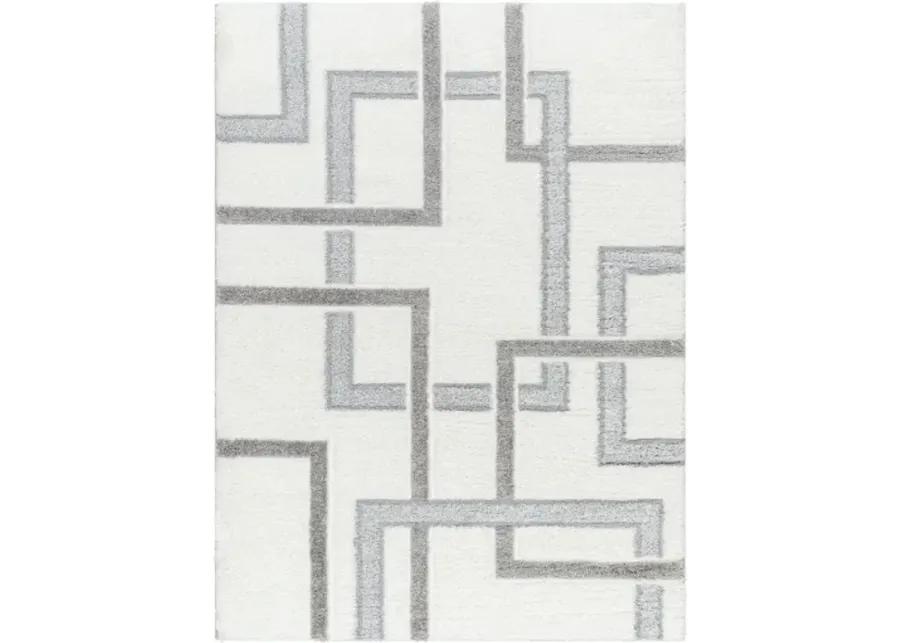 Nomadic NMC-2313 5'3" x 7' Machine Woven Rug