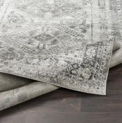 Monte Carlo MNC-2314 2'7" x 12' Machine Woven Rug