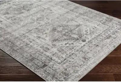 Monte Carlo MNC-2314 2'7" x 12' Machine Woven Rug