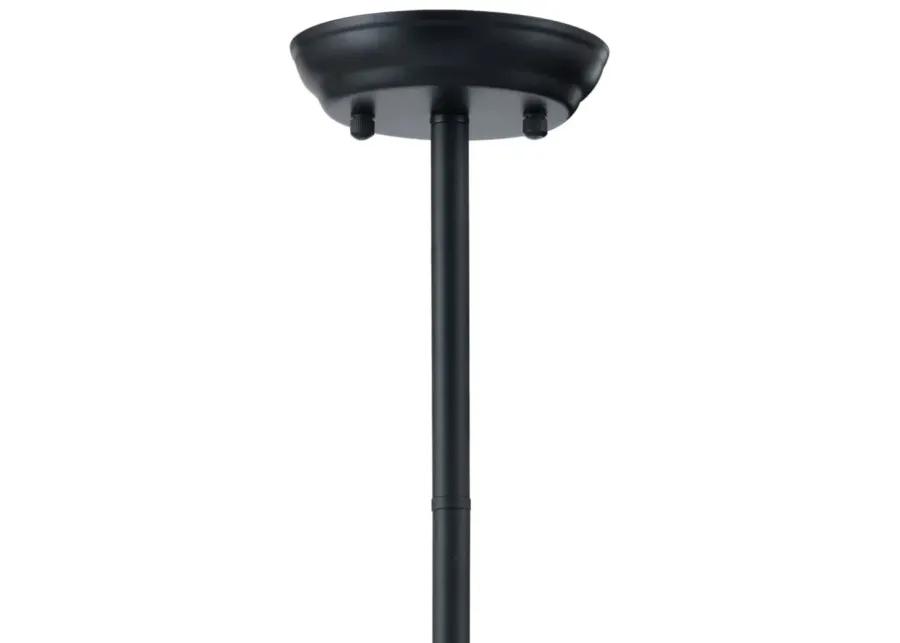 Belfast Ceiling Lamp Black