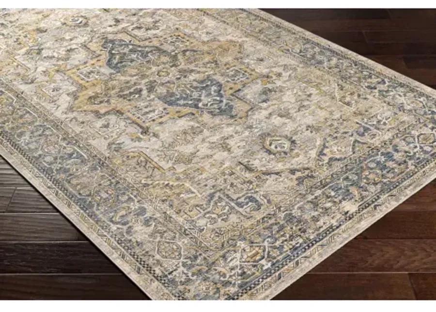 Aspendos APS-2321 2'7" x 10' Rug