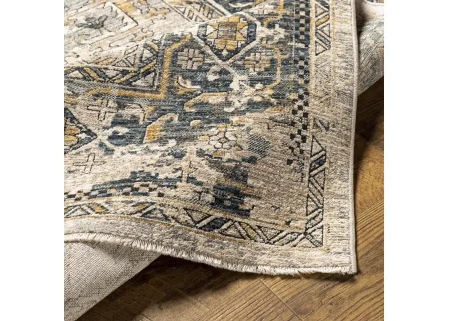 Aspendos APS-2321 2'7" x 10' Rug