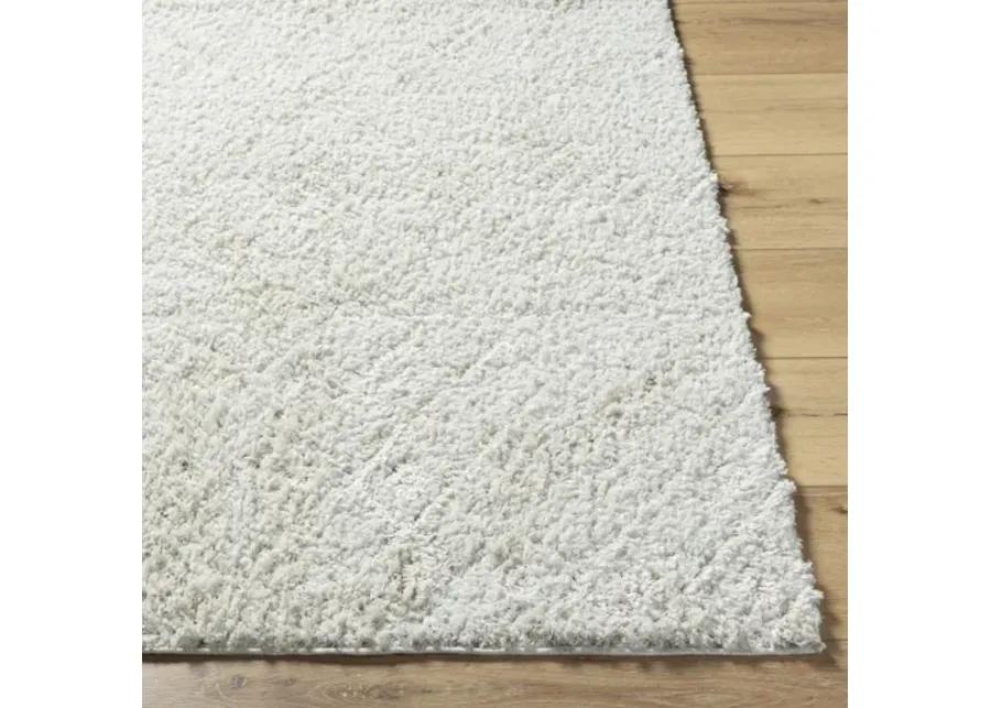 Maryland Shag MSG-2311 5'3" x 7' Machine Woven Rug