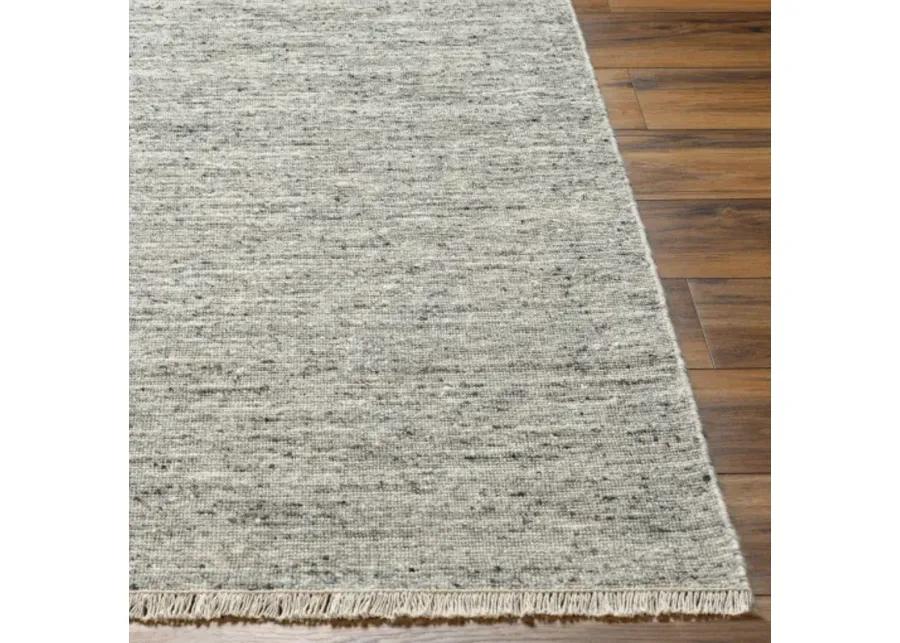 Hamburg HMB-2301 5' x 7'6" Hand Made Rug