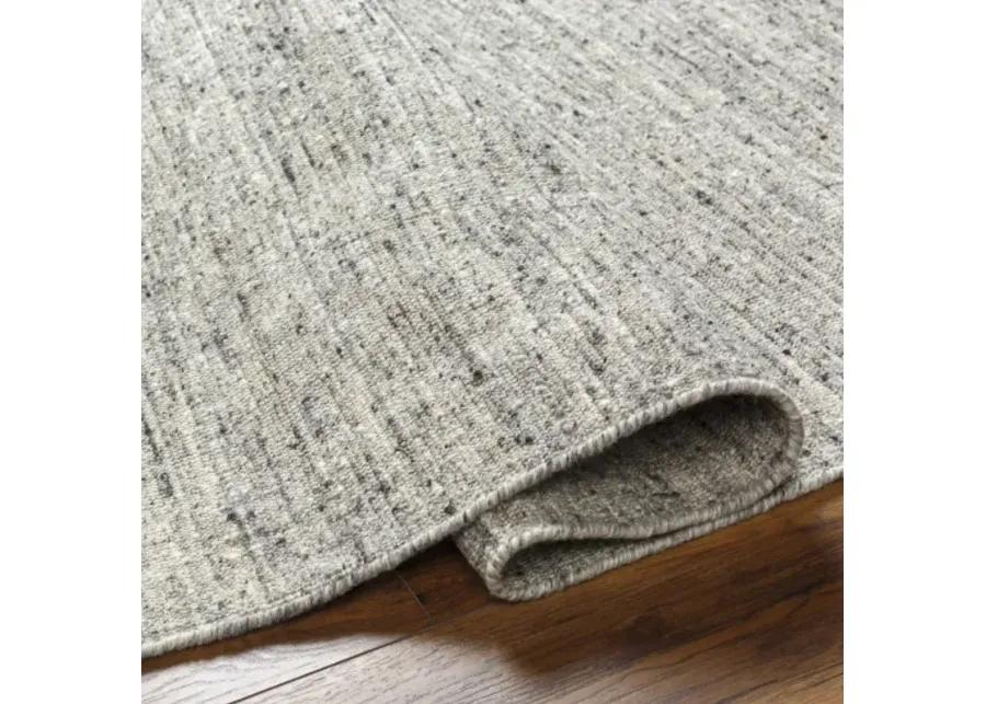 Hamburg HMB-2301 5' x 7'6" Hand Made Rug