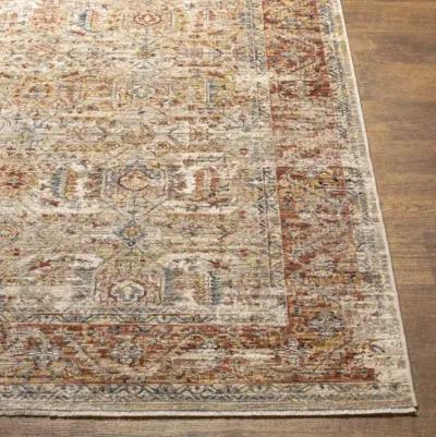 Aspendos APS-2311 2'7" x 7'3" Rug