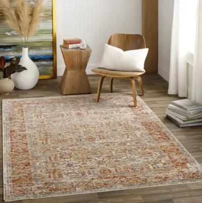 Aspendos APS-2311 2'7" x 7'3" Rug