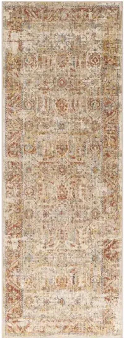 Aspendos APS-2311 2'7" x 7'3" Rug