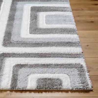 Nomadic NMC-2309 5'3" x 7' Machine Woven Rug