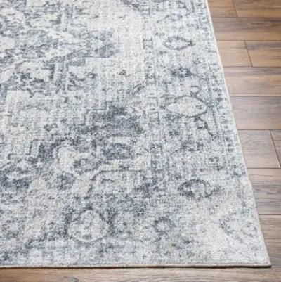 Lillian LLL-2334 2'7" x 7'3" Machine Woven Rug