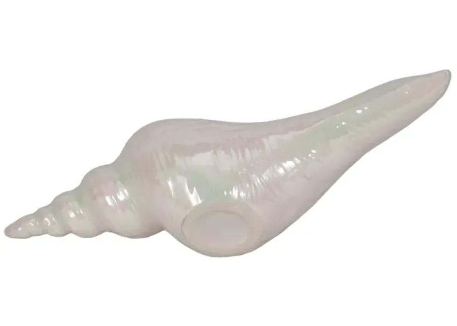 12" Long Iridescent Seashell With Silver, Ivory/si