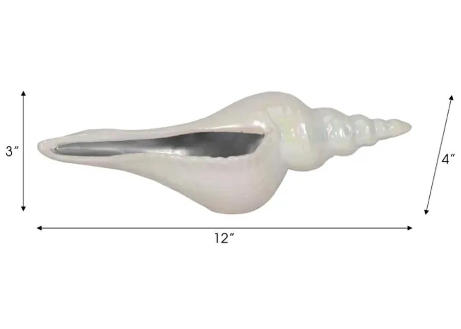 12" Long Iridescent Seashell With Silver, Ivory/si