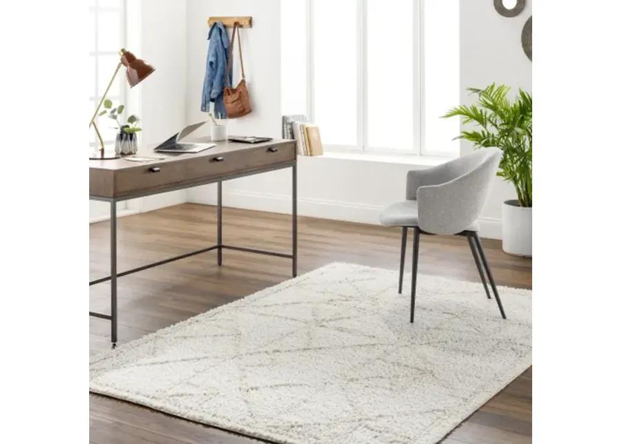 Maryland Shag MSG-2300 6'7" x 9' Machine Woven Rug