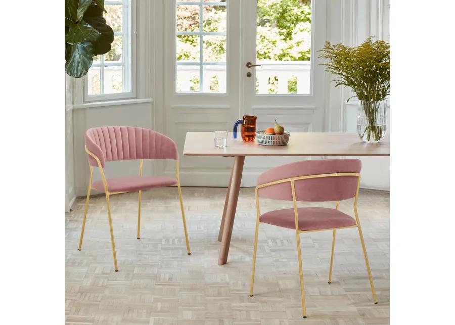 Nara Modern Pink Velvet and Gold Metal Leg Dining Room Chairs - Set of 2