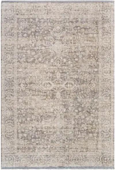 Rivaldo RVD-2312 2'4" x 3'9" Machine Woven Rug