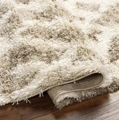 Urban Shag USG-2323 5'3" x 7'3" Machine Woven Rug