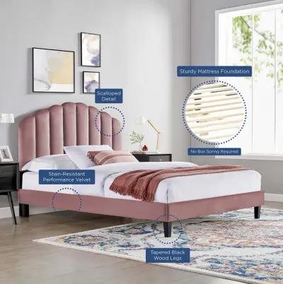 Daisy Performance Velvet Queen Platform Bed