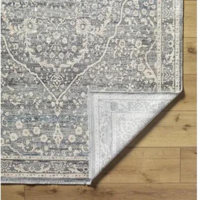 Chicago CHG-2315 2'10" x 8' Machine Woven Rug