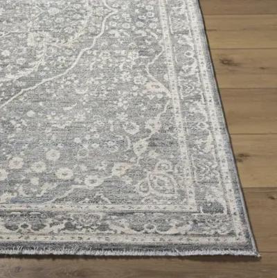 Chicago CHG-2315 2'10" x 8' Machine Woven Rug