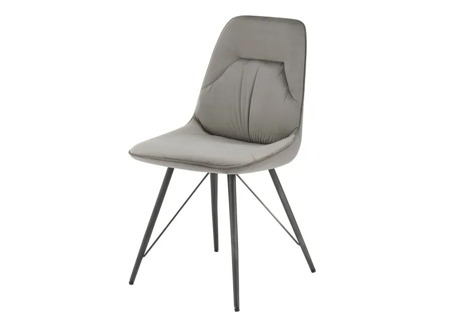 Pablo Dining Side Chair - Set of 2