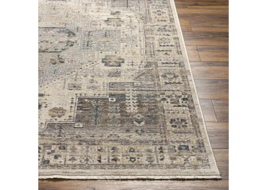 Aida AAD-2307 5' x 7'9" Machine Woven Rug