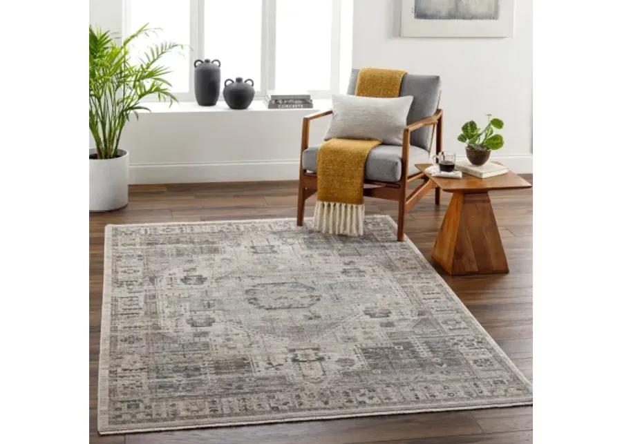 Aida AAD-2307 5' x 7'9" Machine Woven Rug