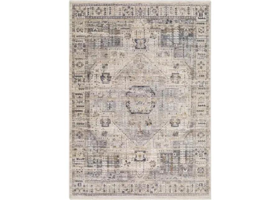 Aida AAD-2307 5' x 7'9" Machine Woven Rug