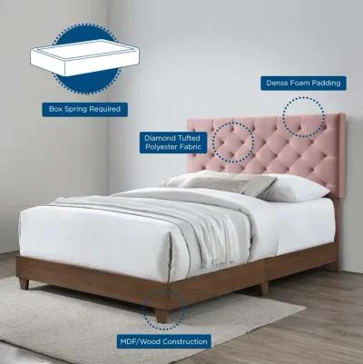 Rhiannon Diamond Tufted Upholstered Performance Velvet Queen Bed