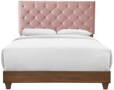 Rhiannon Diamond Tufted Upholstered Performance Velvet Queen Bed