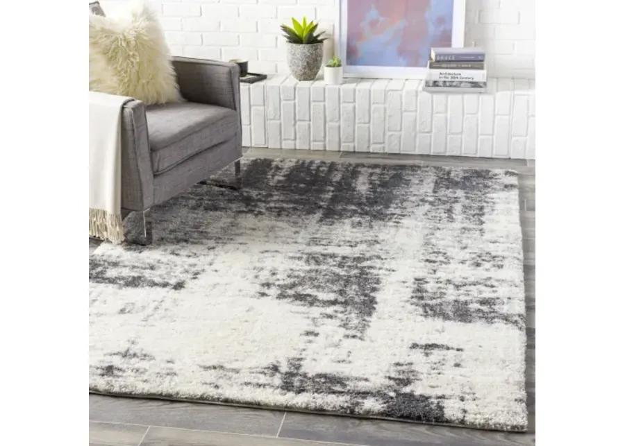 Aliyah shag 2' x 3' Rug