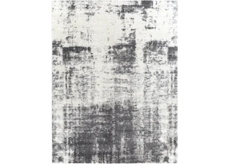 Aliyah shag 2' x 3' Rug