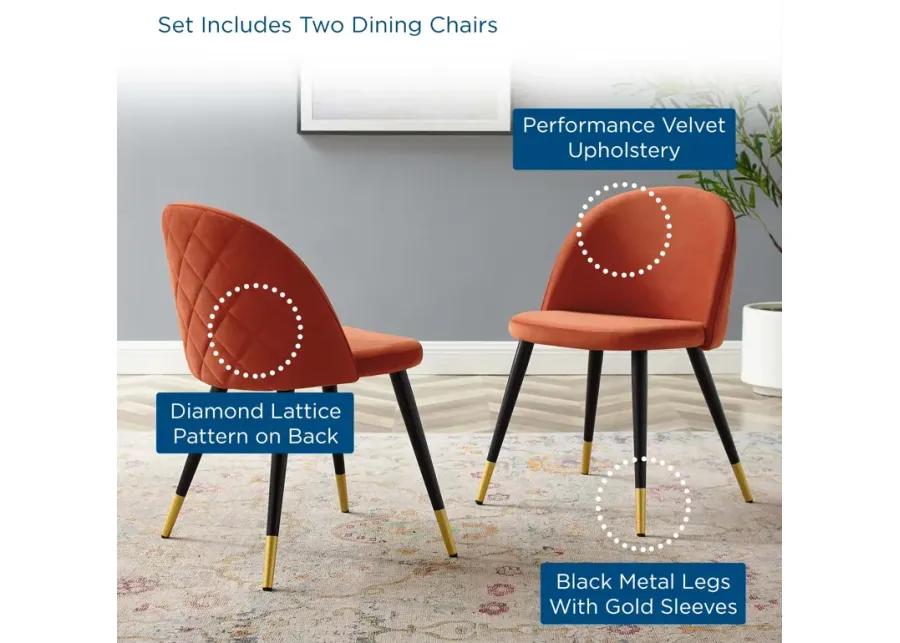 Cordial Performance Velvet Dining Chairs - Set of 2