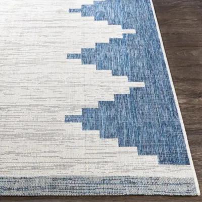 Eagean 8'10" x 12' Rug