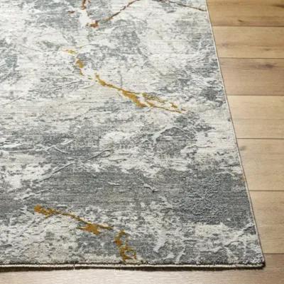 Dresden DRE-2318 9' x 12'2" Machine Woven Rug