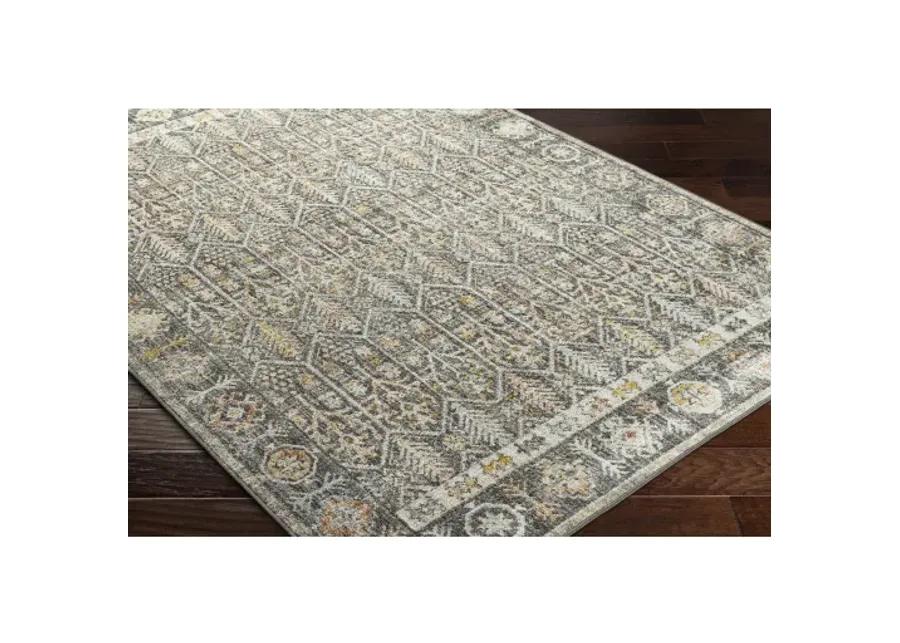 Bitlis BSI-2304 6'7" x 9' Machine Woven Rug