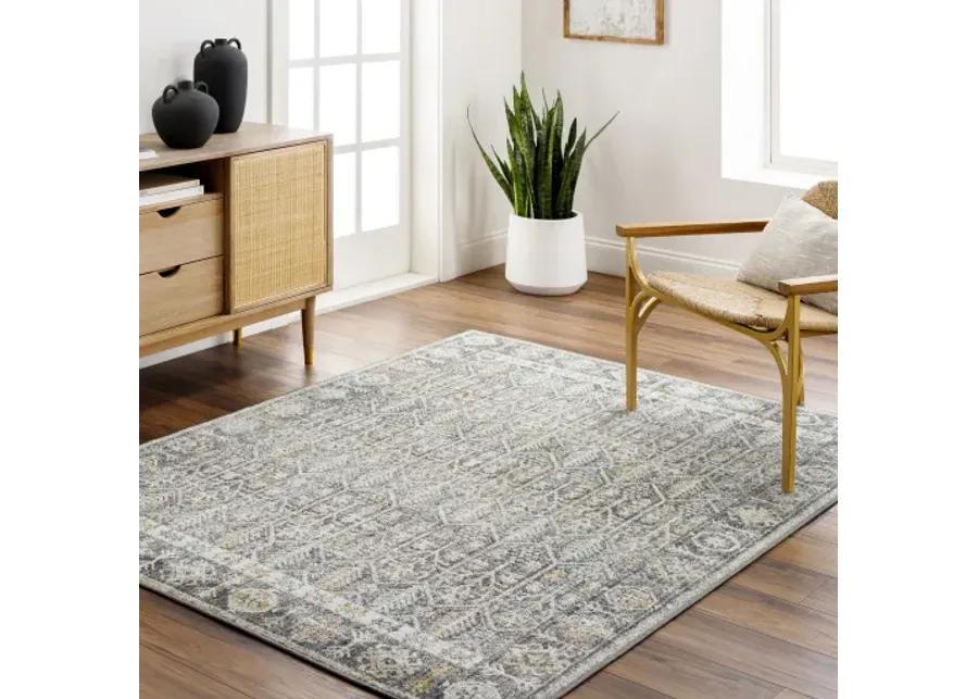 Bitlis BSI-2304 6'7" x 9' Machine Woven Rug