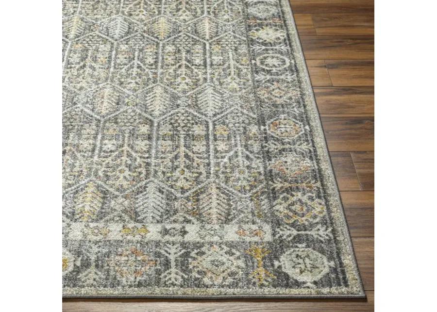 Bitlis BSI-2304 6'7" x 9' Machine Woven Rug