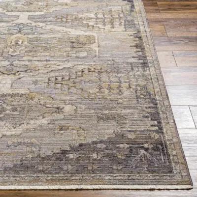 Aida AAD-2303 5' x 7'9" Machine Woven Rug