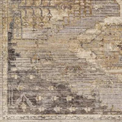 Aida AAD-2303 5' x 7'9" Machine Woven Rug