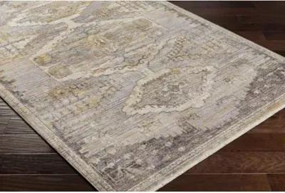 Aida AAD-2303 5' x 7'9" Machine Woven Rug