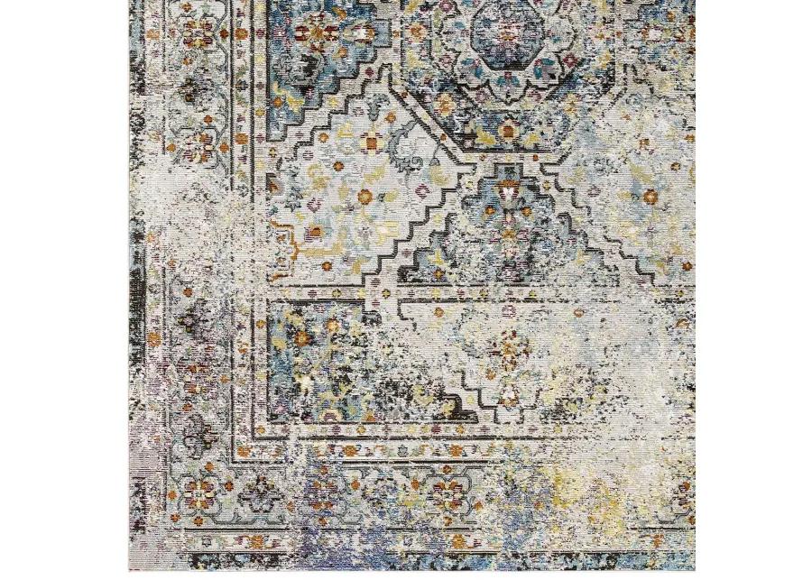 Success Jacinda Distressed Vintage Floral Persian Medallion 4x6 Area Rug