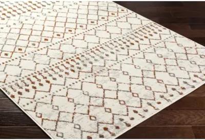 Pisa PSS-2368 5' x 7' Machine Woven Rug