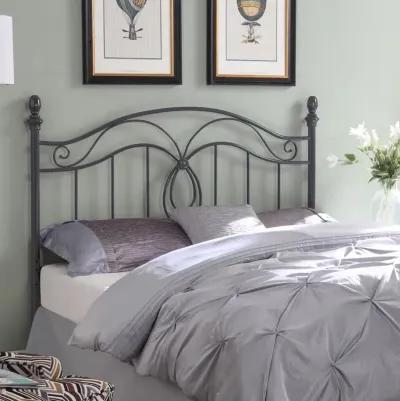 Evan Queen / Full Scroll Metal Headboard Dark Grey